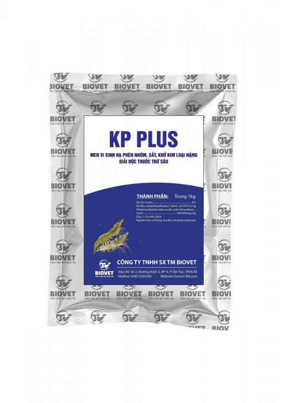 KP PLUS
